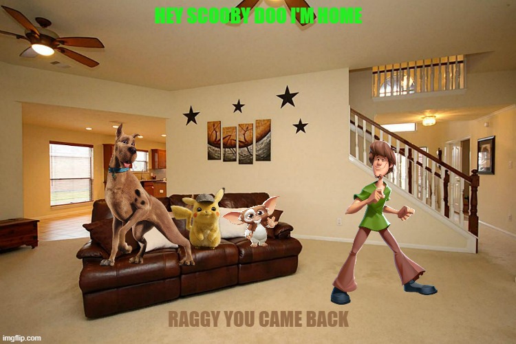 shaggy returns | HEY SCOOBY DOO I'M HOME; RAGGY YOU CAME BACK | image tagged in living room ceiling fans,warner bros,buddies,dogs,reunion | made w/ Imgflip meme maker