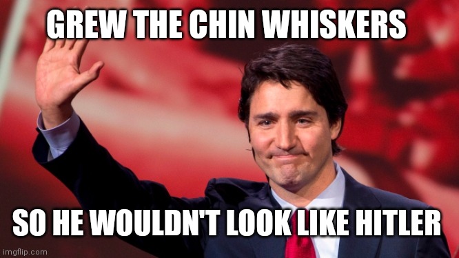 Justin Trudeau Hand Up | GREW THE CHIN WHISKERS; SO HE WOULDN'T LOOK LIKE HITLER | image tagged in justin trudeau hand up | made w/ Imgflip meme maker