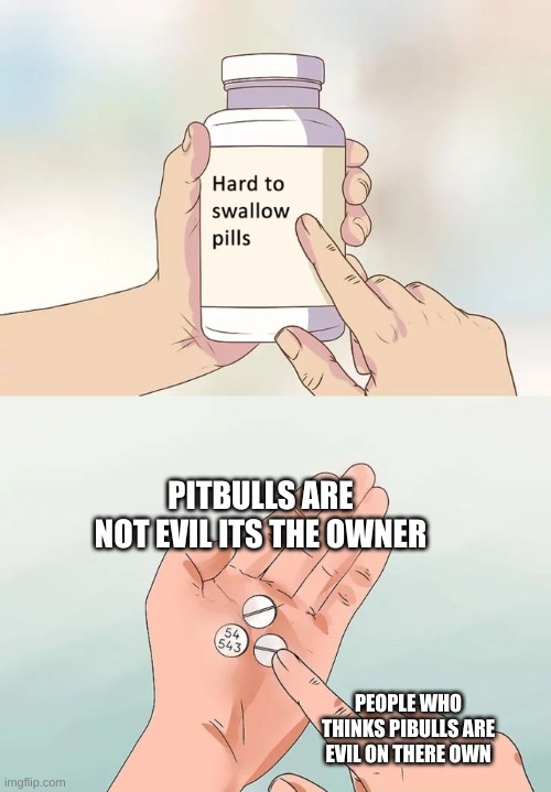 as a pitbull owner myself, my doggo is very nice when you get to know her... | PITBULLS ARE NOT EVIL ITS THE OWNER; PEOPLE WHO THINKS PIBULLS ARE EVIL ON THERE OWN | image tagged in memes,hard to swallow pills | made w/ Imgflip meme maker