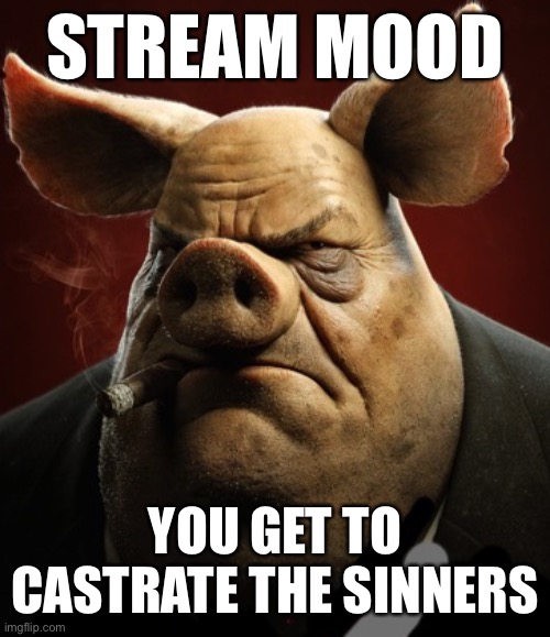 hyper realistic picture of a more average looking pig smoking | STREAM MOOD; YOU GET TO CASTRATE THE SINNERS | image tagged in hyper realistic picture of a more average looking pig smoking | made w/ Imgflip meme maker