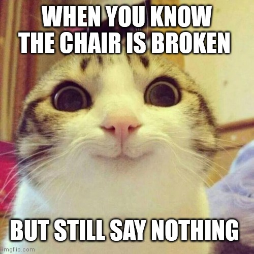 Smiling Cat | WHEN YOU KNOW THE CHAIR IS BROKEN; BUT STILL SAY NOTHING | image tagged in memes,smiling cat | made w/ Imgflip meme maker