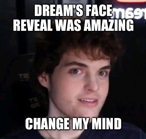Dream | DREAM'S FACE REVEAL WAS AMAZING; CHANGE MY MIND | image tagged in dream face reveal | made w/ Imgflip meme maker