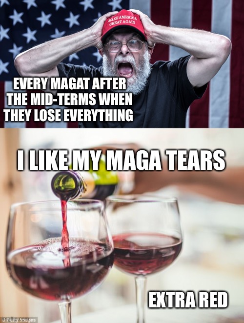 EVERY MAGAT AFTER THE MID-TERMS WHEN THEY LOSE EVERYTHING; I LIKE MY MAGA TEARS; EXTRA RED | image tagged in maga tears,pouring red wine | made w/ Imgflip meme maker
