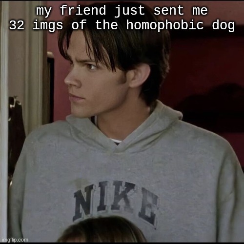 jared | my friend just sent me 32 imgs of the homophobic dog | image tagged in jared | made w/ Imgflip meme maker