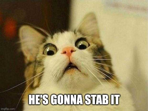 Scared Cat Meme | HE'S GONNA STAB IT | image tagged in memes,scared cat | made w/ Imgflip meme maker