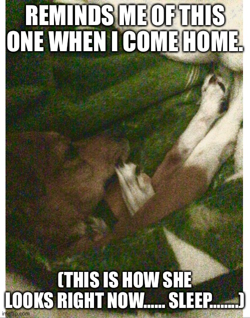 REMINDS ME OF THIS ONE WHEN I COME HOME. (THIS IS HOW SHE LOOKS RIGHT NOW…… SLEEP……..) | made w/ Imgflip meme maker