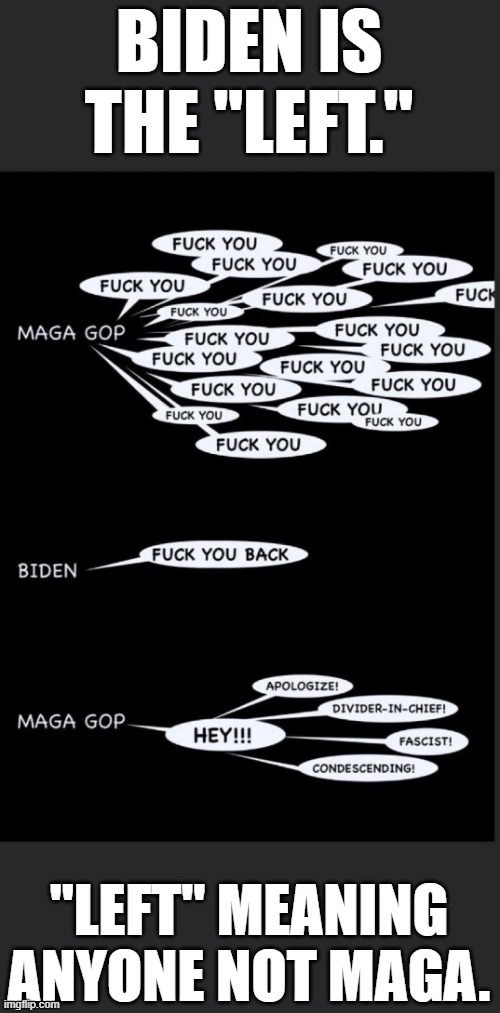 100% accurate. | BIDEN IS THE "LEFT."; "LEFT" MEANING ANYONE NOT MAGA. | image tagged in liberal logic,liberal hypocrisy,democrats,maga,trump,biden | made w/ Imgflip meme maker