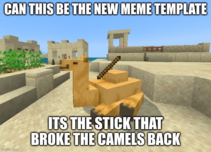 camel | CAN THIS BE THE NEW MEME TEMPLATE; ITS THE STICK THAT BROKE THE CAMELS BACK | made w/ Imgflip meme maker