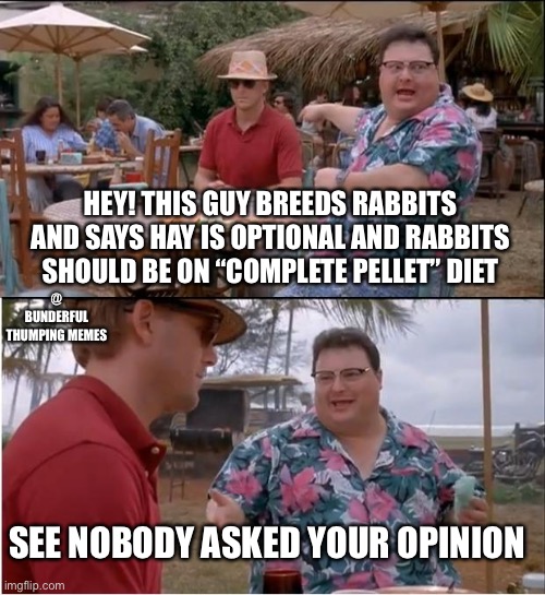 rabbit breeder | HEY! THIS GUY BREEDS RABBITS AND SAYS HAY IS OPTIONAL AND RABBITS SHOULD BE ON “COMPLETE PELLET” DIET; @ BUNDERFUL THUMPING MEMES; SEE NOBODY ASKED YOUR OPINION | image tagged in memes,see nobody cares | made w/ Imgflip meme maker