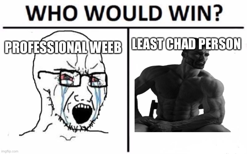 ChadVsWeeb Be Like | LEAST CHAD PERSON; PROFESSIONAL WEEB | image tagged in memes,who would win,chadvsweeb | made w/ Imgflip meme maker