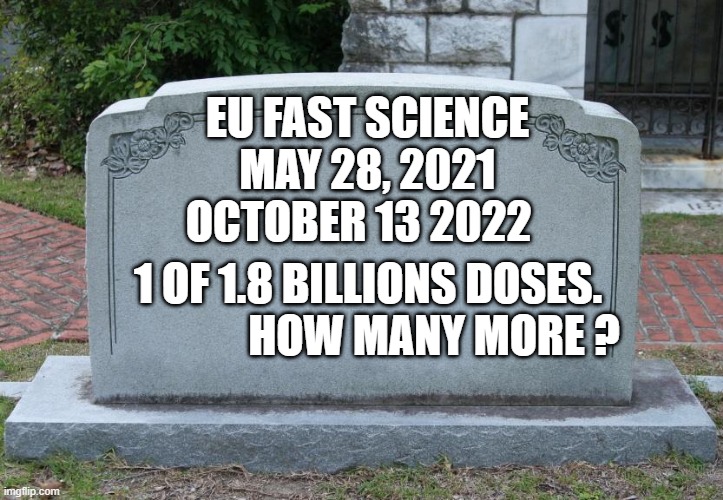 headstone | EU FAST SCIENCE MAY 28, 2021 OCTOBER 13 2022; 1 OF 1.8 BILLIONS DOSES.                HOW MANY MORE ? | image tagged in headstone | made w/ Imgflip meme maker