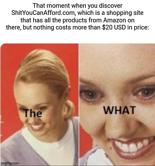 There's a shopping-site called ShitYouCanAfford that sells all the stuff from Amazon for under $20. | That moment when you discover ShitYouCanAfford.com, which is a shopping site that has all the products from Amazon on there, but nothing costs more than $20 USD in price: | image tagged in the what woman,simothefinlandized,online shopping,shit you can afford,breaking news | made w/ Imgflip meme maker
