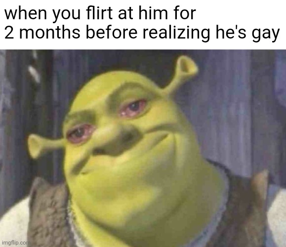 oops | when you flirt at him for 2 months before realizing he's gay | image tagged in crying shrek | made w/ Imgflip meme maker