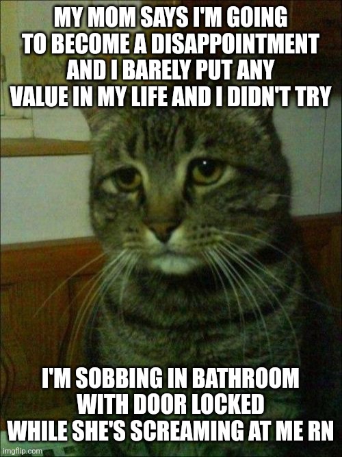 PLEASE HELP ME I WANNA DIE | MY MOM SAYS I'M GOING TO BECOME A DISAPPOINTMENT AND I BARELY PUT ANY VALUE IN MY LIFE AND I DIDN'T TRY; I'M SOBBING IN BATHROOM WITH DOOR LOCKED WHILE SHE'S SCREAMING AT ME RN | image tagged in memes,depressed cat | made w/ Imgflip meme maker