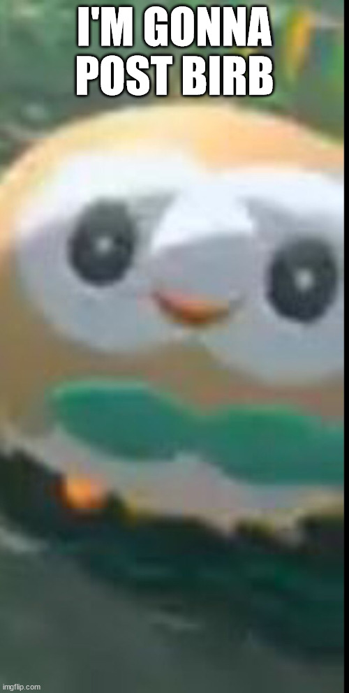 also if you want to know how i found this place again i went thru my search history | I'M GONNA POST BIRB | image tagged in rowlet | made w/ Imgflip meme maker