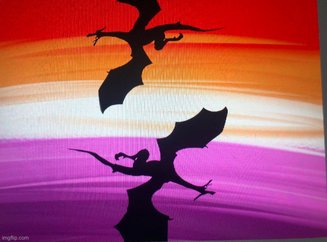 Lesbian Flag! Requested by both imma.go.be.a.lesbian.bish, and LeKoalaLord! Sorry for the wait! | image tagged in lesbian,lgbtq | made w/ Imgflip meme maker
