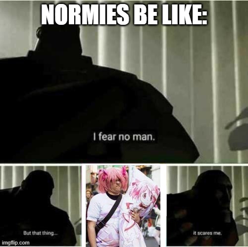 I fear no man | NORMIES BE LIKE: | image tagged in i fear no man | made w/ Imgflip meme maker