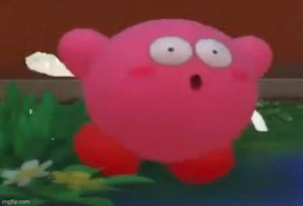 Surprised Kirby | image tagged in surprised kirby | made w/ Imgflip meme maker