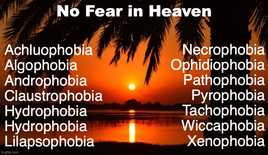 A New Heaven and a New Earth | No Fear in Heaven; Necrophobia
Ophidiophobia
Pathophobia
Pyrophobia
Tachophobia
Wiccaphobia
Xenophobia; Achluophobia
Algophobia
Androphobia
Claustrophobia
Hydrophobia
Hydrophobia
Lilapsophobia | image tagged in the bride of the lamb | made w/ Imgflip meme maker