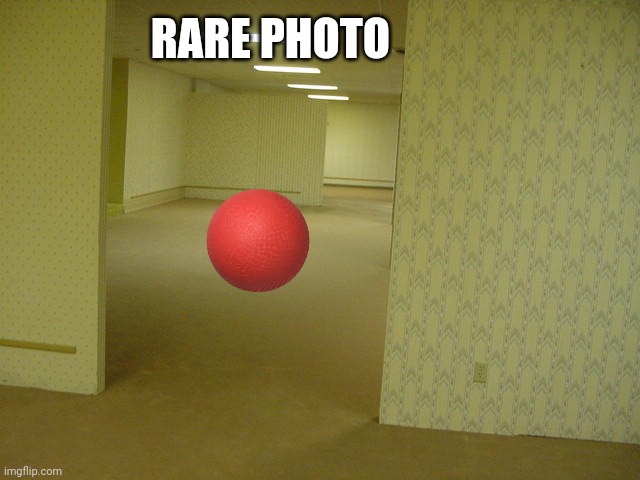 The Backrooms | RARE PHOTO | image tagged in the backrooms | made w/ Imgflip meme maker