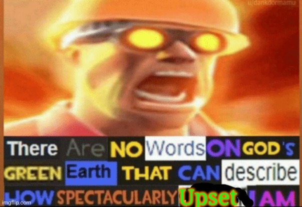 there are no words on god's green earth | Upset | image tagged in there are no words on god's green earth | made w/ Imgflip meme maker