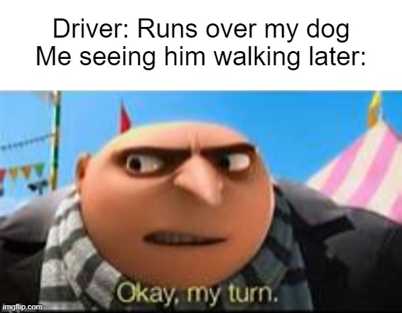 Driver: Runs over my dog
Me seeing him walking later: | image tagged in blank white template,gru ok my turn | made w/ Imgflip meme maker