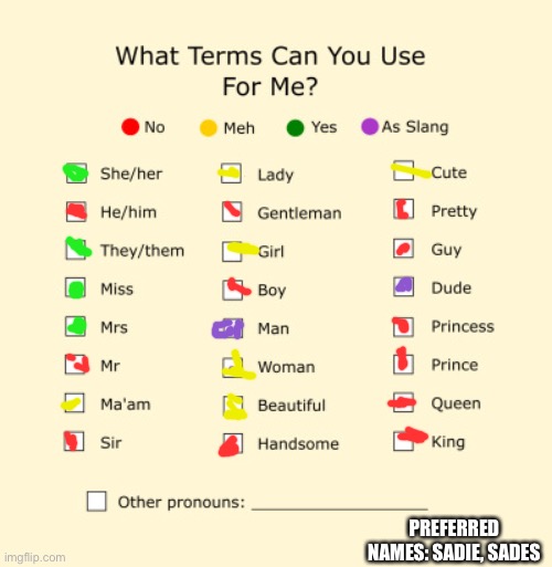 Pronouns Sheet | PREFERRED NAMES: SADIE, SADES | image tagged in pronouns sheet | made w/ Imgflip meme maker