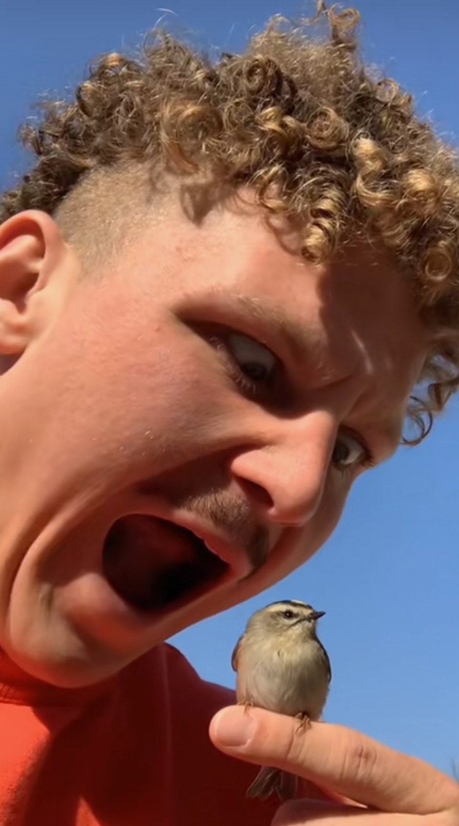 Eating a Bird Blank Meme Template