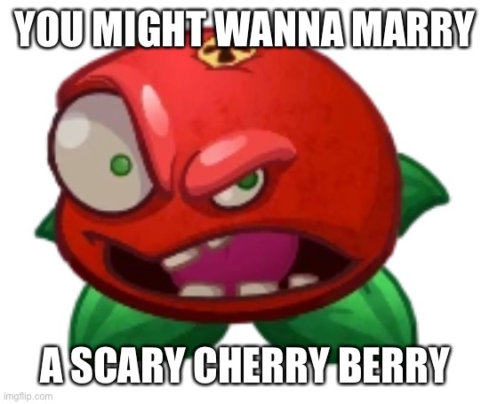 YOU MIGHT WANNA MARRY A SCARY CHERRY BERRY | made w/ Imgflip meme maker