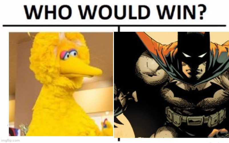 Big bird vs Batman | image tagged in funny memes | made w/ Imgflip meme maker