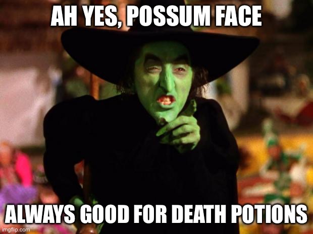 wicked witch  | AH YES, POSSUM FACE ALWAYS GOOD FOR DEATH POTIONS | image tagged in wicked witch | made w/ Imgflip meme maker