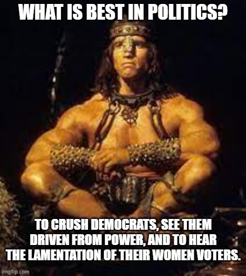 Conan Knows | WHAT IS BEST IN POLITICS? TO CRUSH DEMOCRATS, SEE THEM DRIVEN FROM POWER, AND TO HEAR THE LAMENTATION OF THEIR WOMEN VOTERS. | image tagged in conan the barbarian,conan crush your enemies,democrats | made w/ Imgflip meme maker