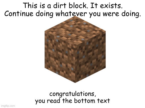 dirt |  This is a dirt block. It exists. Continue doing whatever you were doing. congratulations, you read the bottom text | image tagged in blank white template | made w/ Imgflip meme maker