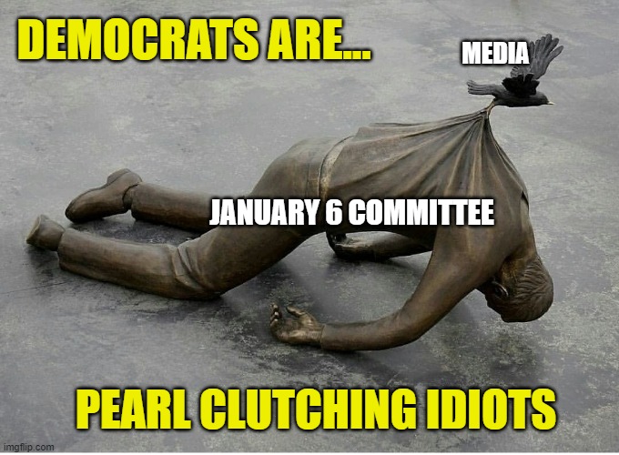 Witness the panic from the Left | DEMOCRATS ARE... MEDIA; JANUARY 6 COMMITTEE; PEARL CLUTCHING IDIOTS | image tagged in democrats,liberals,woke,biased media,january 6,leftists | made w/ Imgflip meme maker