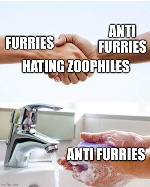 randomly saw a furry post like this, so i decided to "improve" it, if you will. | ANTI FURRIES; FURRIES; HATING ZOOPHILES; ANTI FURRIES | image tagged in shake and wash hands,anti furry,you are known for,gay,idiot,why are you reading the tags | made w/ Imgflip meme maker