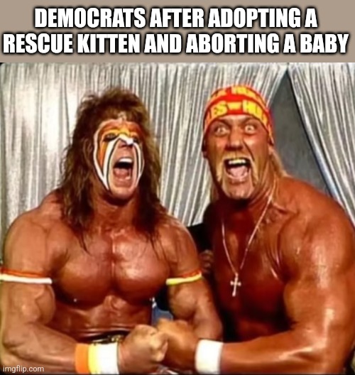 DEMOCRATS AFTER ADOPTING A RESCUE KITTEN AND ABORTING A BABY | image tagged in funny memes | made w/ Imgflip meme maker