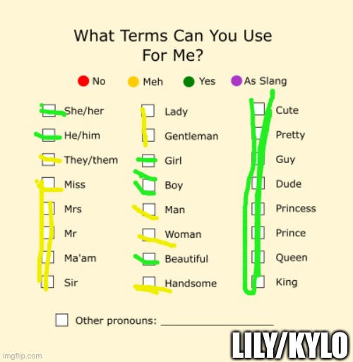 Pronouns Sheet | LILY/KYLO | image tagged in pronouns sheet | made w/ Imgflip meme maker