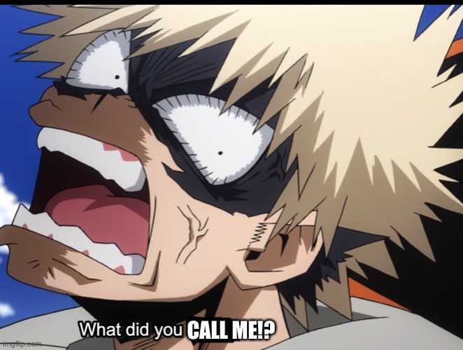 Bakugo's What did you say?! | CALL ME!? | image tagged in bakugo's what did you say | made w/ Imgflip meme maker
