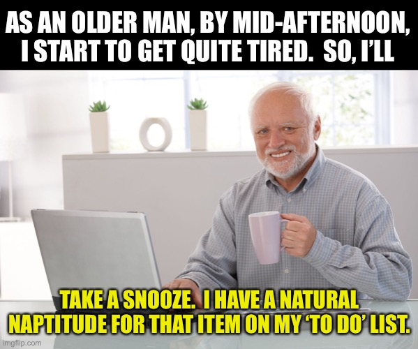 Naptitude | AS AN OLDER MAN, BY MID-AFTERNOON, I START TO GET QUITE TIRED.  SO, I’LL; TAKE A SNOOZE.  I HAVE A NATURAL NAPTITUDE FOR THAT ITEM ON MY ‘TO DO’ LIST. | image tagged in hide the pain harold large | made w/ Imgflip meme maker