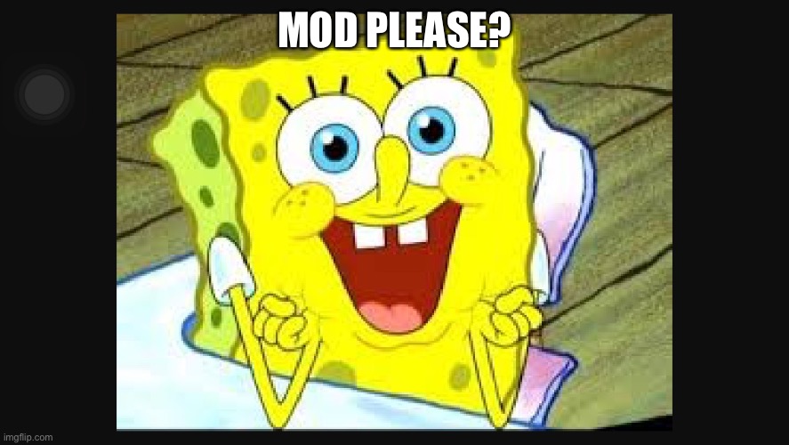 I don't care  | MOD PLEASE? | image tagged in i don't care | made w/ Imgflip meme maker