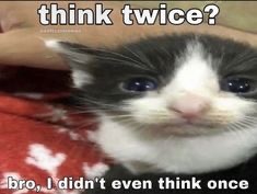 on greg | made w/ Imgflip meme maker