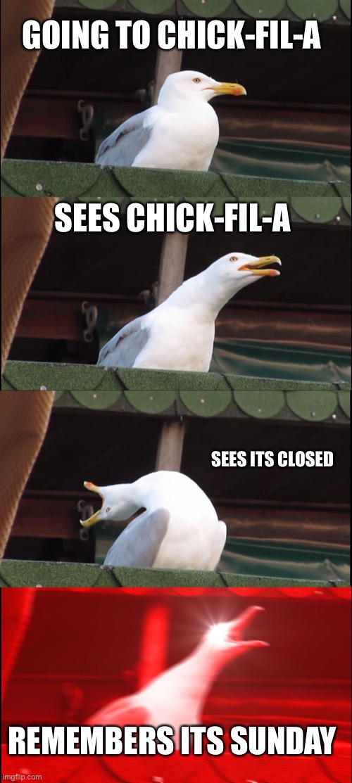 Who has this happened to it happened to me then I went to McDonald’s | GOING TO CHICK-FIL-A; SEES CHICK-FIL-A; SEES ITS CLOSED; REMEMBERS ITS SUNDAY | image tagged in memes,inhaling seagull | made w/ Imgflip meme maker