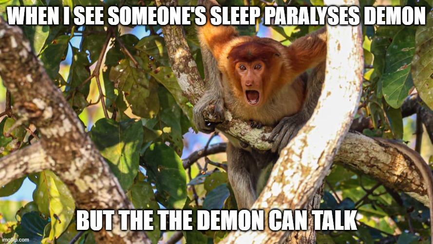 meme | WHEN I SEE SOMEONE'S SLEEP PARALYSES DEMON; BUT THE THE DEMON CAN TALK | image tagged in funny | made w/ Imgflip meme maker