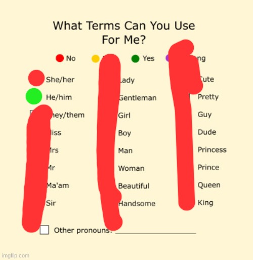 There can only be one | image tagged in pronouns sheet | made w/ Imgflip meme maker