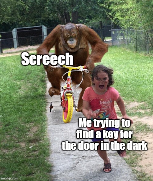 Doors meme | Screech; Me trying to find a key for the door in the dark | image tagged in orangutan chasing girl on a tricycle,roblox,doors | made w/ Imgflip meme maker