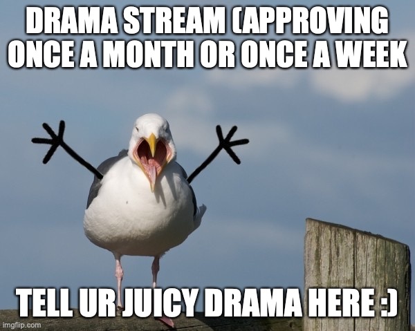 drama_rama | DRAMA STREAM (APPROVING ONCE A MONTH OR ONCE A WEEK; TELL UR JUICY DRAMA HERE :) | image tagged in dramatic seagull | made w/ Imgflip meme maker