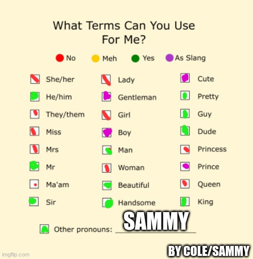 :) | SAMMY; BY COLE/SAMMY | image tagged in pronouns sheet,memes,funny,sammy,yes,pronouns | made w/ Imgflip meme maker