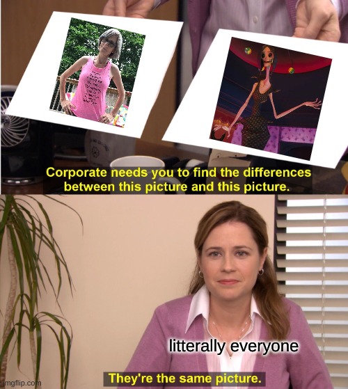 They're The Same Picture Meme | litterally everyone | image tagged in memes,they're the same picture | made w/ Imgflip meme maker