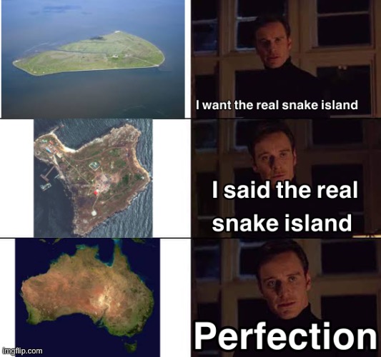 Australia is an island full of snakes | image tagged in memes,australia,snake | made w/ Imgflip meme maker