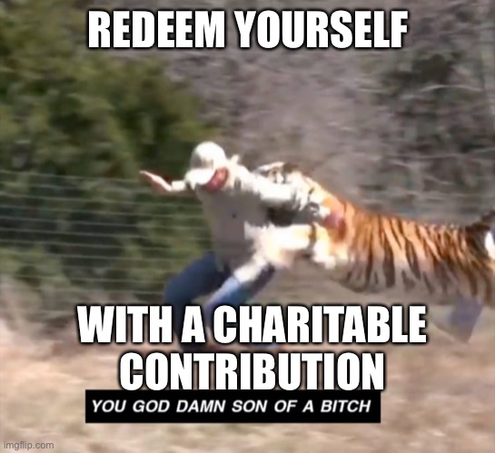 Joe exotic | REDEEM YOURSELF WITH A CHARITABLE CONTRIBUTION | image tagged in joe exotic | made w/ Imgflip meme maker